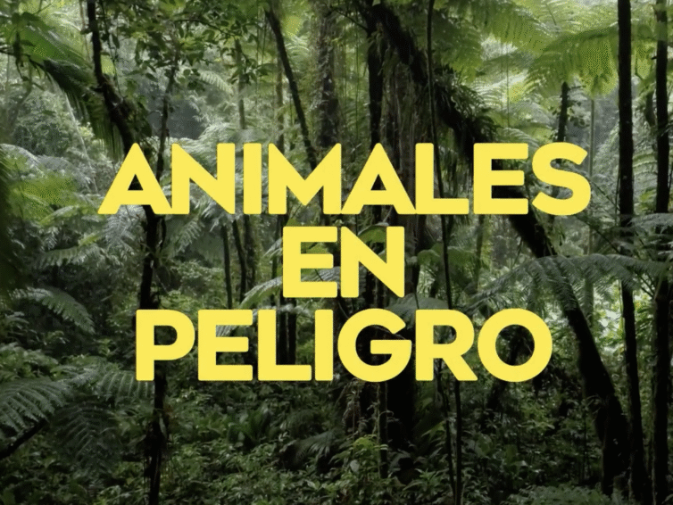 “Animales en peligro”: la serie de Greenpeace y Natalia Oreiro que convierte la pasión en una forma de conciencia